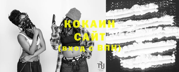 скорость Каменка