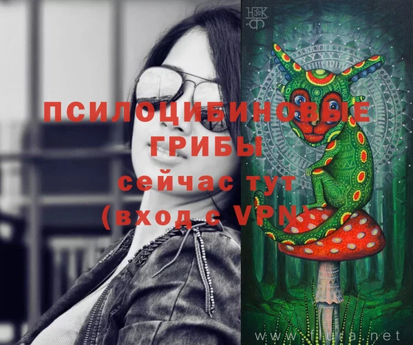 трава Инсар