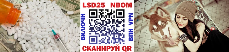 LSD-25 экстази ecstasy  Купить закладки  Приморск 