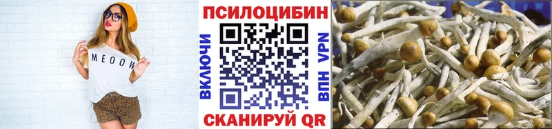 Галлюциногенные грибы мицелий  Купить  Приморск 
